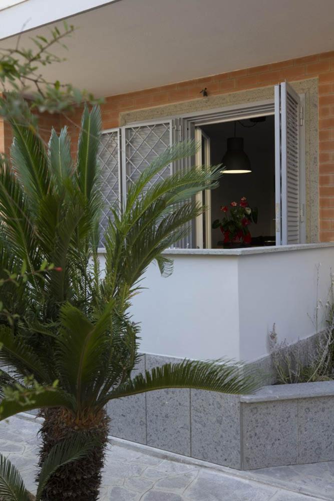 Apartamento Rosa'S House Rome Airport Fiumicino Exterior foto